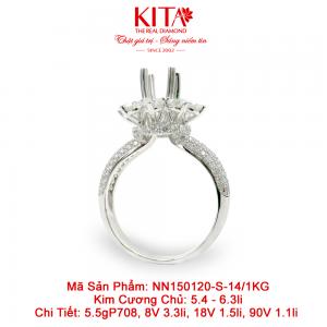 Vỏ Nhẫn Kim Cương Vàng Trắng